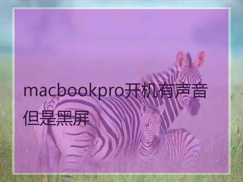 macbookpro开机有声音但是黑屏