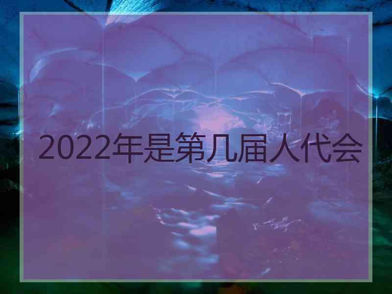 2022年是第几届人代会