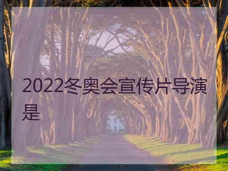 2022冬奥会宣传片导演是