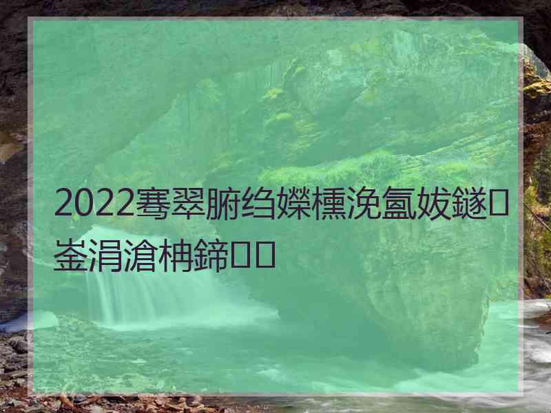 2022骞翠腑绉嬫櫄浼氳妭鐩崟涓滄柟鍗