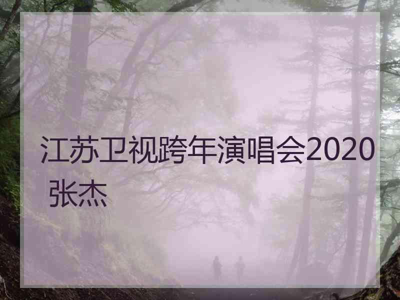 江苏卫视跨年演唱会2020 张杰