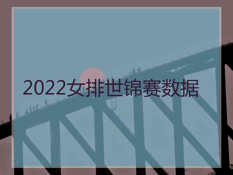 2022女排世锦赛数据