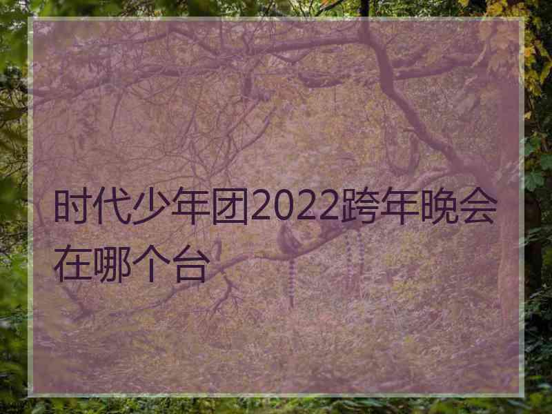 时代少年团2022跨年晚会在哪个台