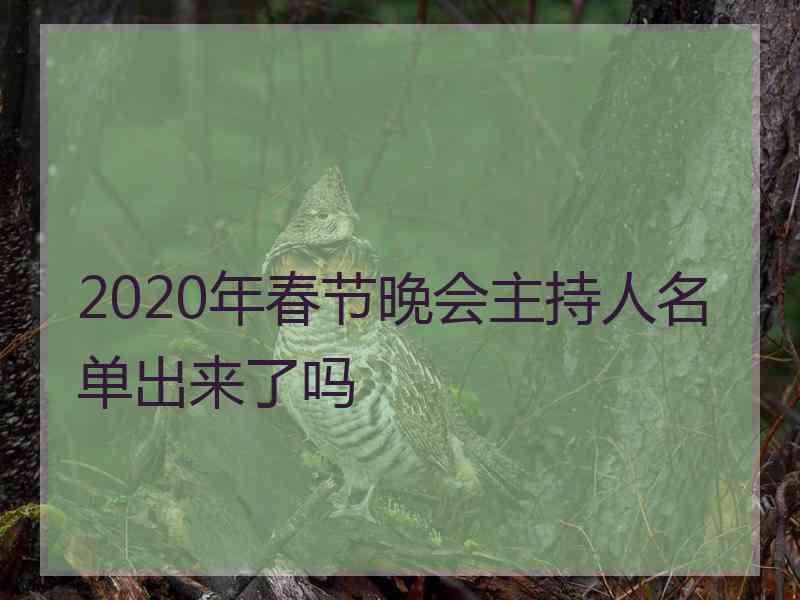 2020年春节晚会主持人名单出来了吗