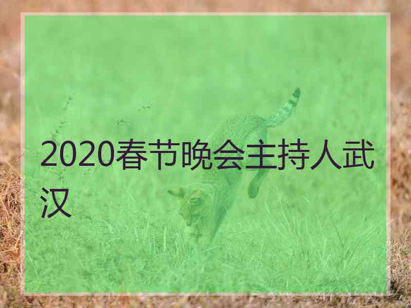 2020春节晚会主持人武汉