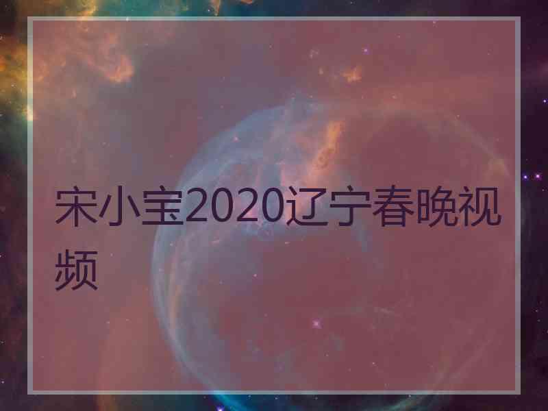 宋小宝2020辽宁春晚视频