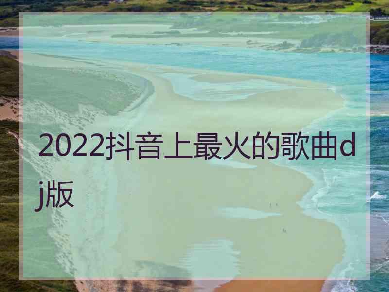 2022抖音上最火的歌曲dj版