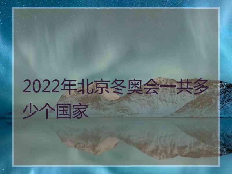 2022年北京冬奥会一共多少个国家