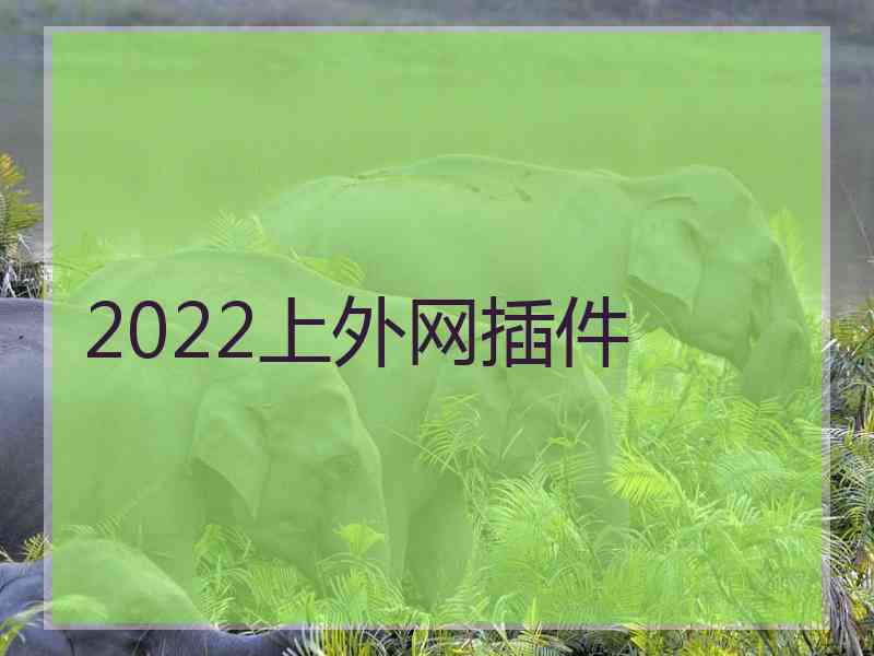 2022上外网插件