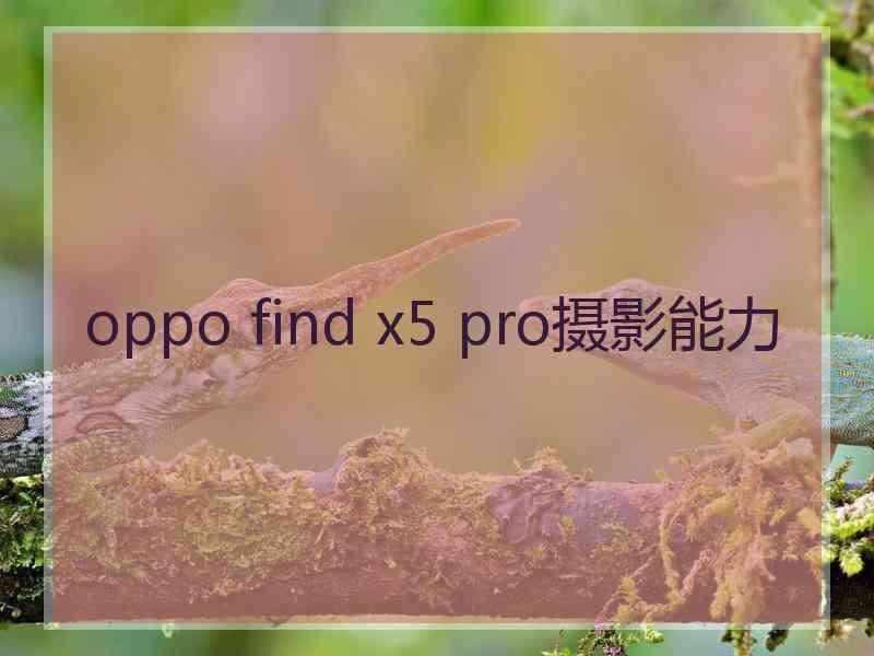 oppo find x5 pro摄影能力