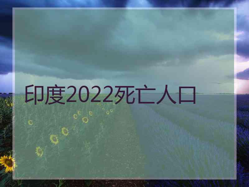 印度2022死亡人口