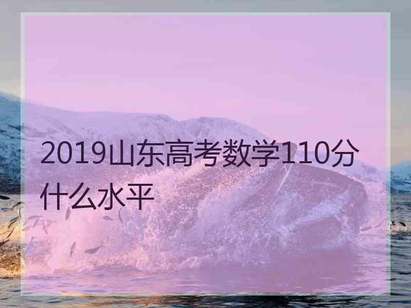 2019山东高考数学110分什么水平