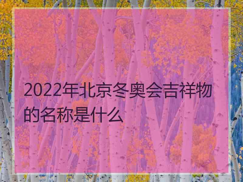 2022年北京冬奥会吉祥物的名称是什么