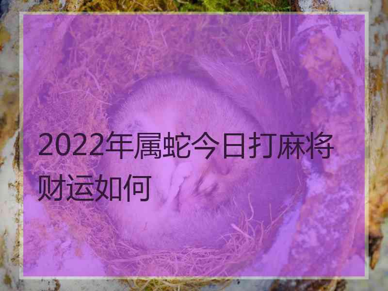 2022年属蛇今日打麻将财运如何