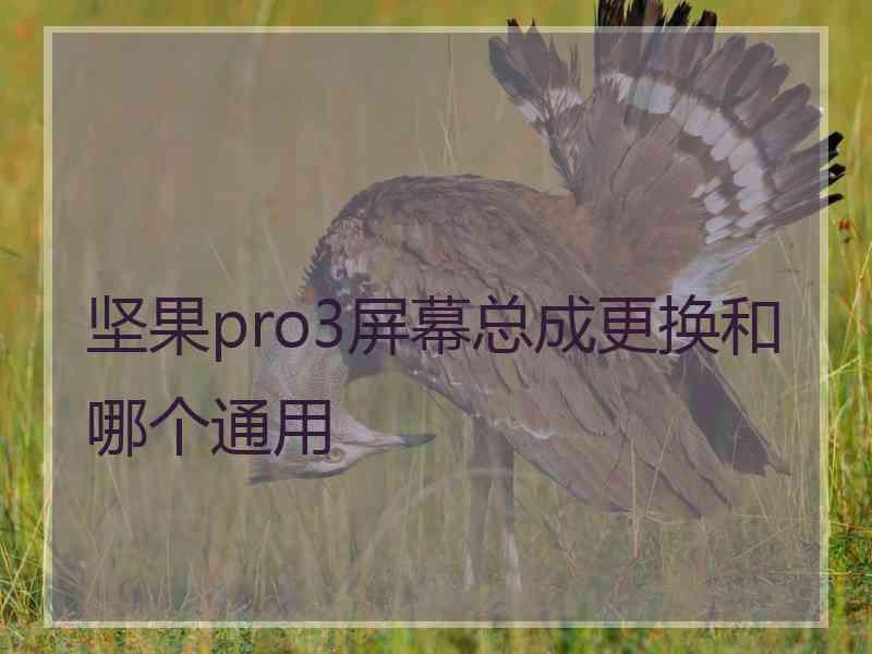 坚果pro3屏幕总成更换和哪个通用