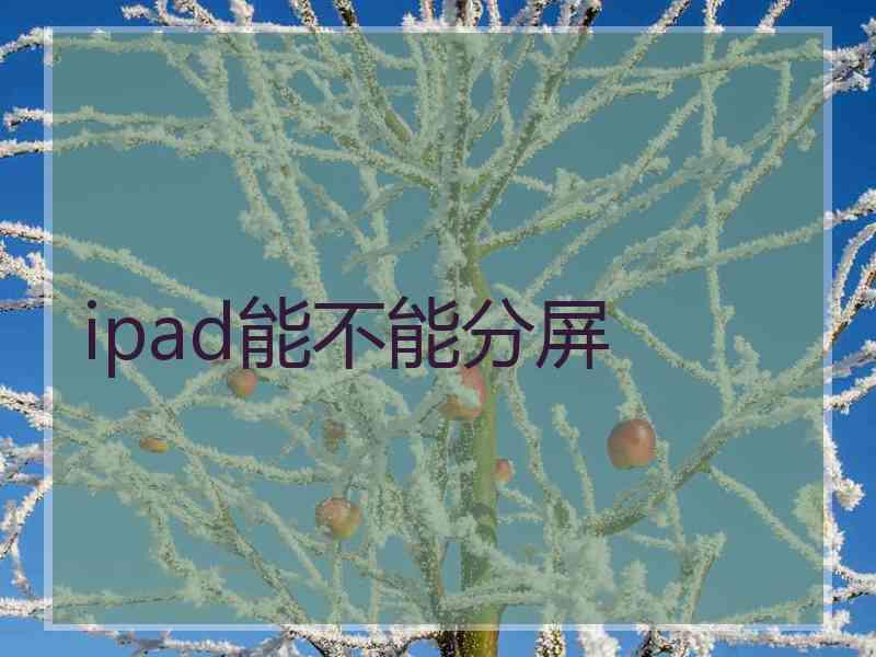 ipad能不能分屏