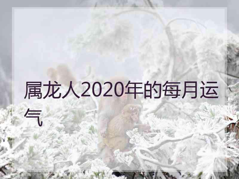 属龙人2020年的每月运气