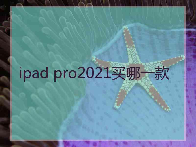 ipad pro2021买哪一款