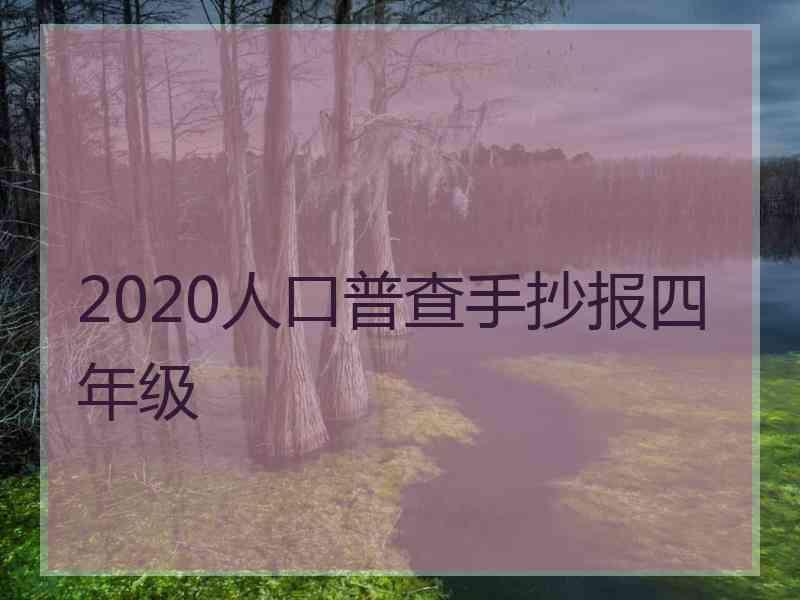 2020人口普查手抄报四年级