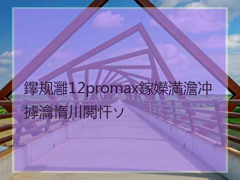 鑻规灉12promax鎵嬫満澹冲摢瀹惰川閲忓ソ