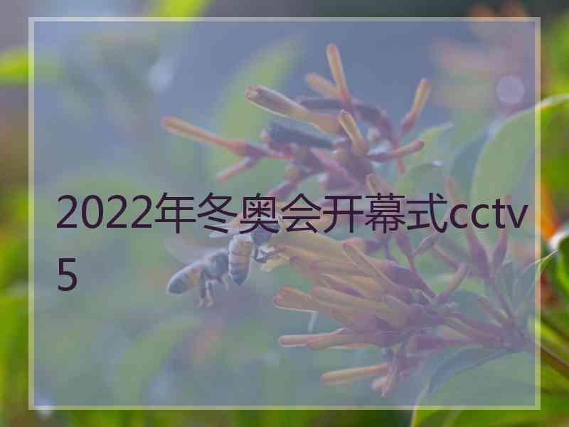 2022年冬奥会开幕式cctv5