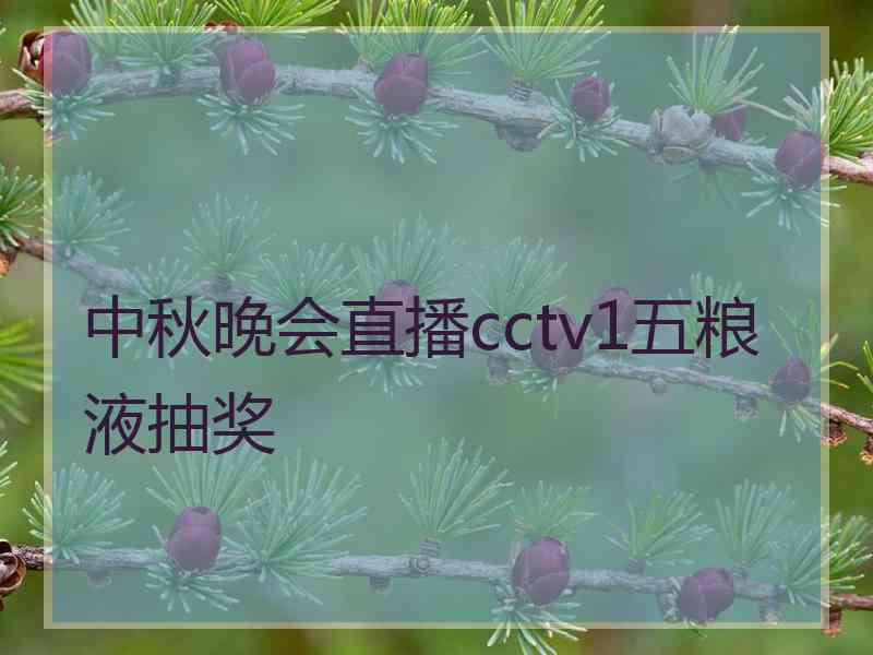 中秋晚会直播cctv1五粮液抽奖