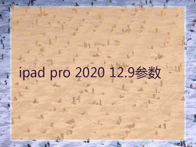 ipad pro 2020 12.9参数