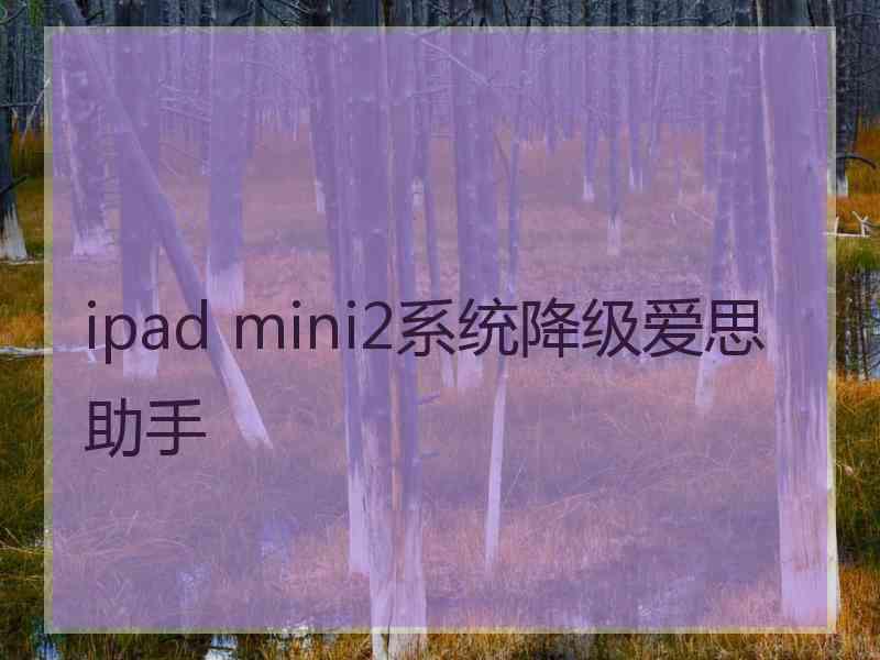 ipad mini2系统降级爱思助手