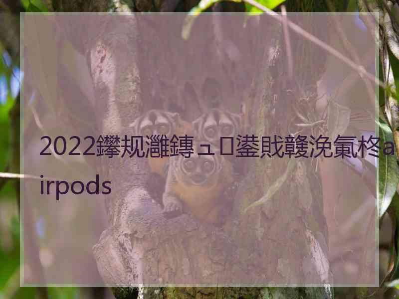 2022鑻规灉鏄ュ鍙戝竷浼氭柊airpods