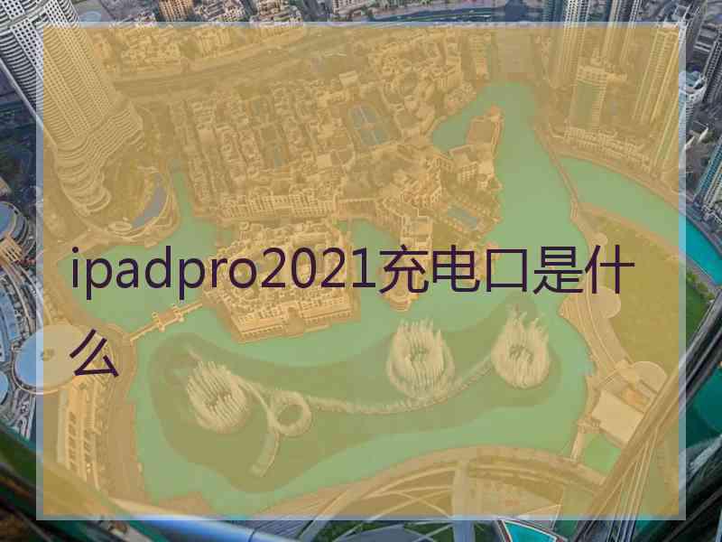 ipadpro2021充电口是什么