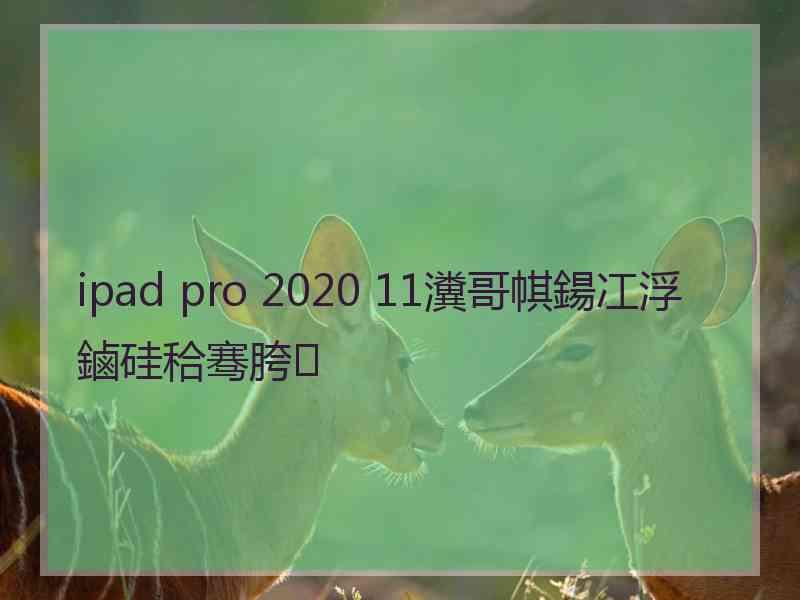 ipad pro 2020 11瀵哥帺鍚冮浮鏀硅秴骞胯