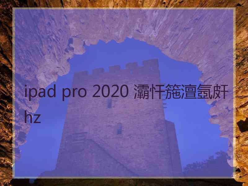 ipad pro 2020 灞忓箷澶氬皯hz