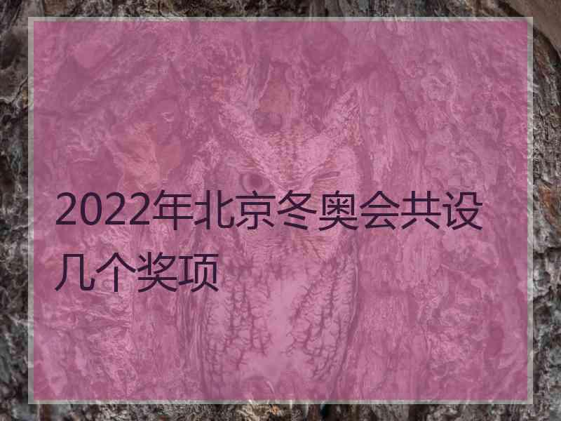 2022年北京冬奥会共设几个奖项