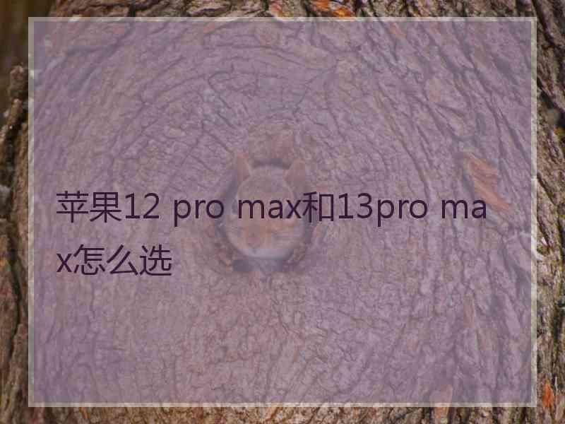 苹果12 pro max和13pro max怎么选