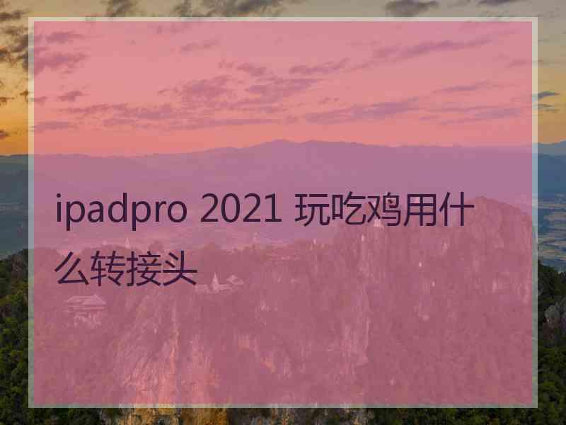 ipadpro 2021 玩吃鸡用什么转接头