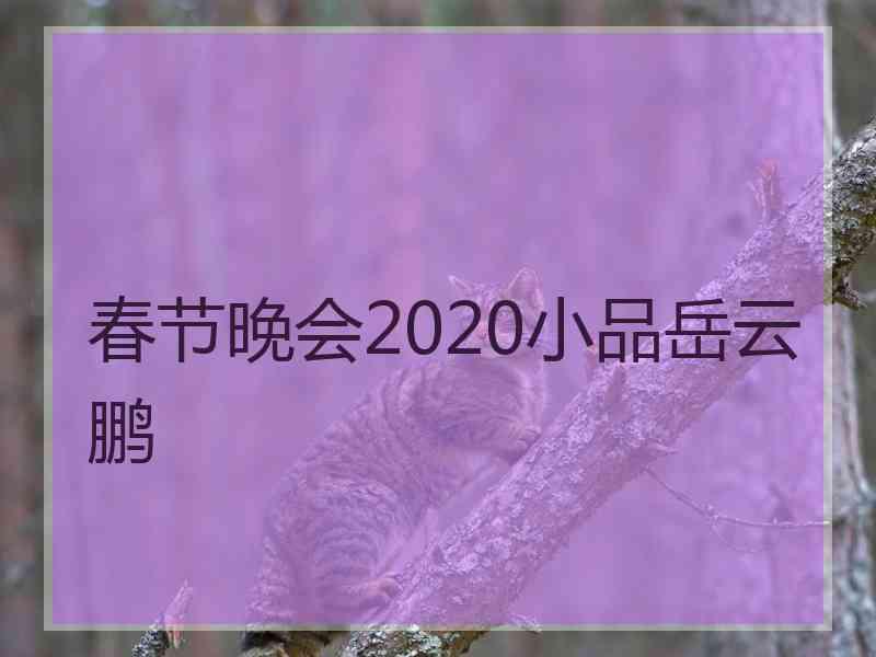 春节晚会2020小品岳云鹏