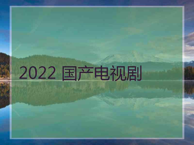 2022 国产电视剧