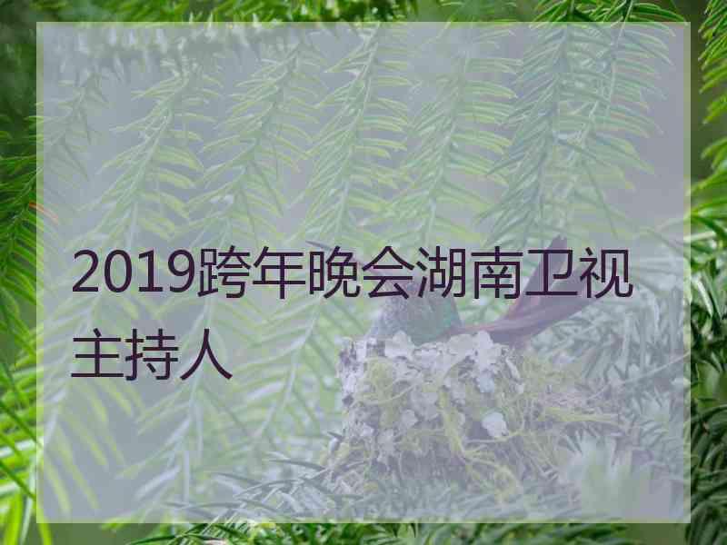 2019跨年晚会湖南卫视主持人