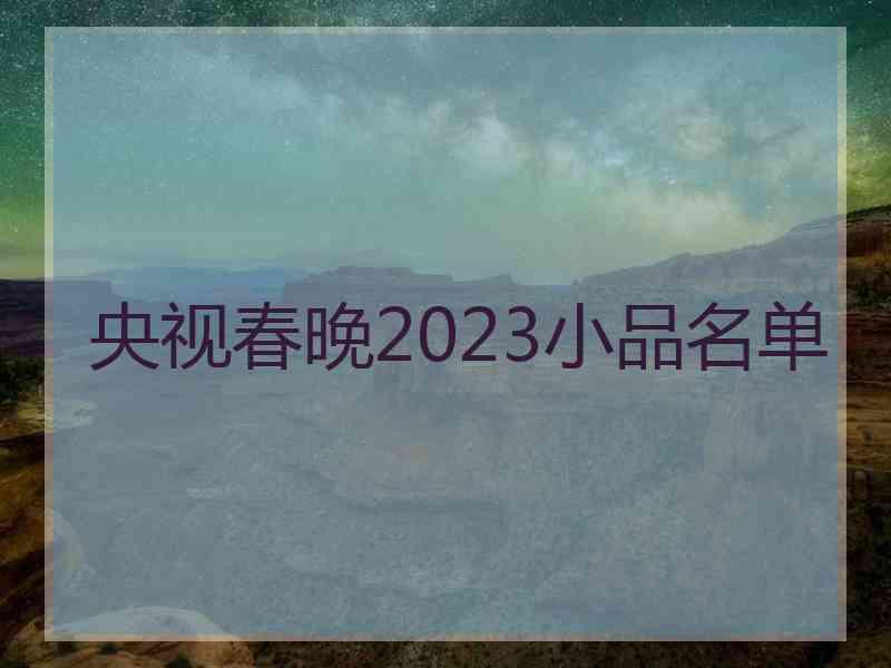 央视春晚2023小品名单