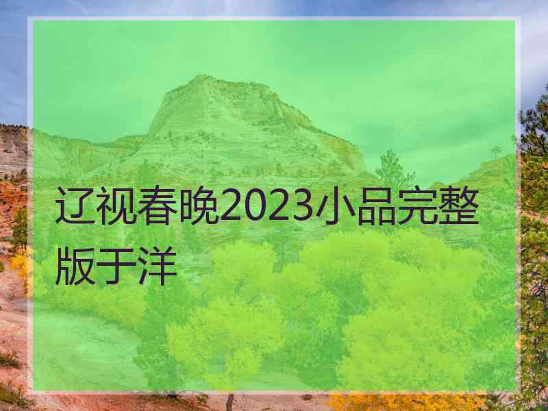 辽视春晚2023小品完整版于洋