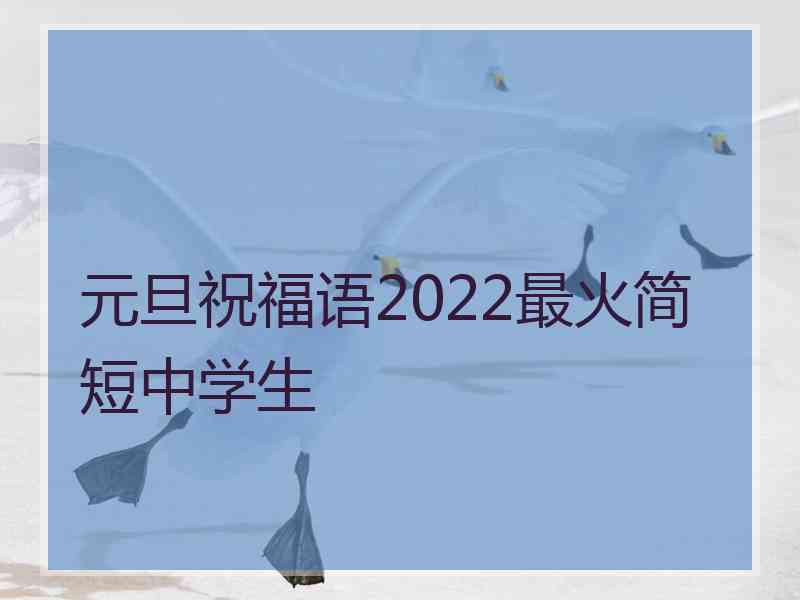 元旦祝福语2022最火简短中学生