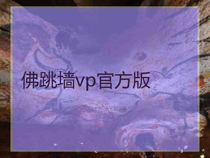 佛跳墙vp官方版