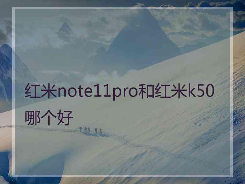 红米note11pro和红米k50哪个好