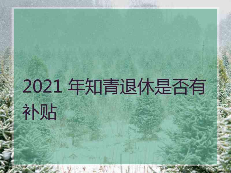 2021 年知青退休是否有补贴