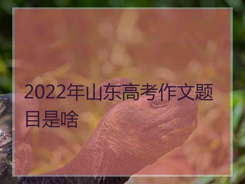 2022年山东高考作文题目是啥