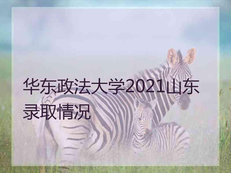 华东政法大学2021山东录取情况