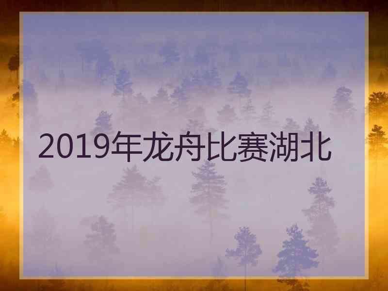 2019年龙舟比赛湖北