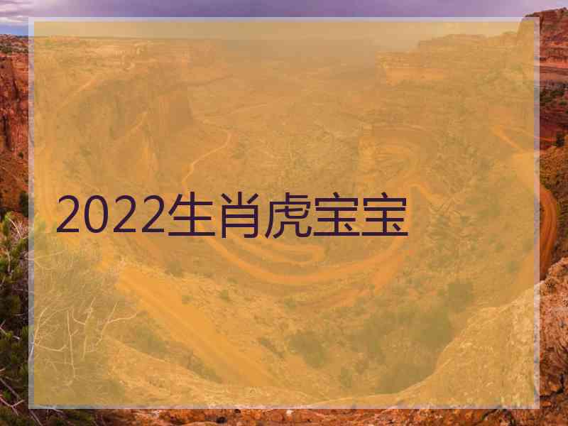 2022生肖虎宝宝