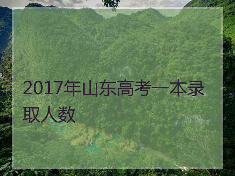 2017年山东高考一本录取人数