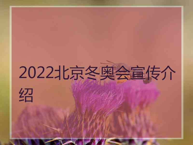 2022北京冬奥会宣传介绍